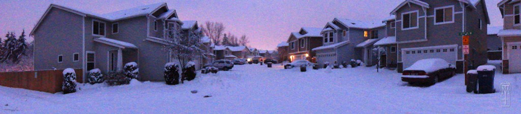 DSC00657 w