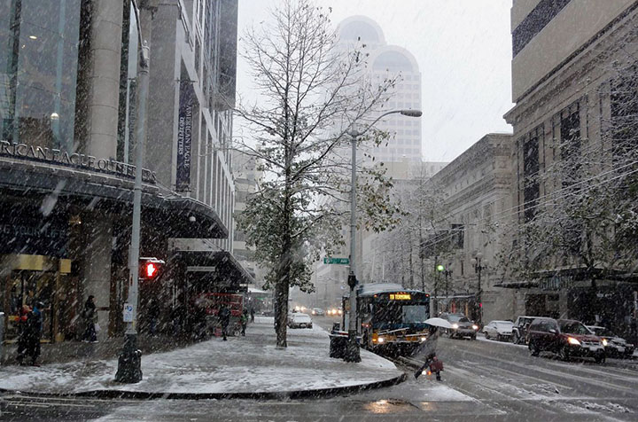 Jan 15 2012 - (c) Seattle Rex