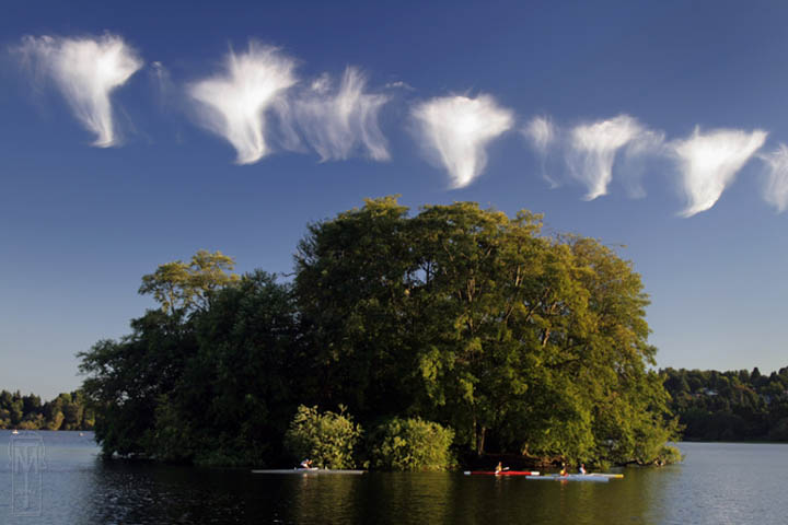 mares_tails